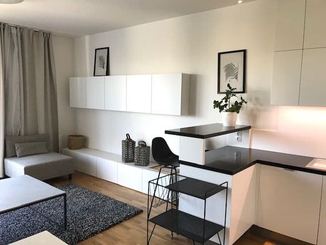 1 bedroom with open-plan kitchen flat to rent, 58 m², Sanderova, Prague, Prague 1 bedroom with open-plan kitchen flat to rent, 58 m², Sanderova, Prague, Prague