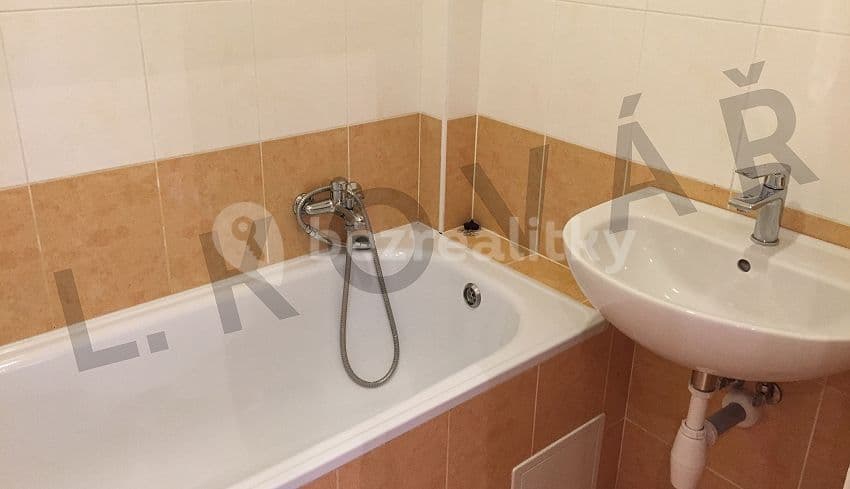 1 bedroom with open-plan kitchen flat to rent, 43 m², Stupkova, Prague, Prague 1 bedroom with open-plan kitchen flat to rent, 43 m², Stupkova, Prague, Prague