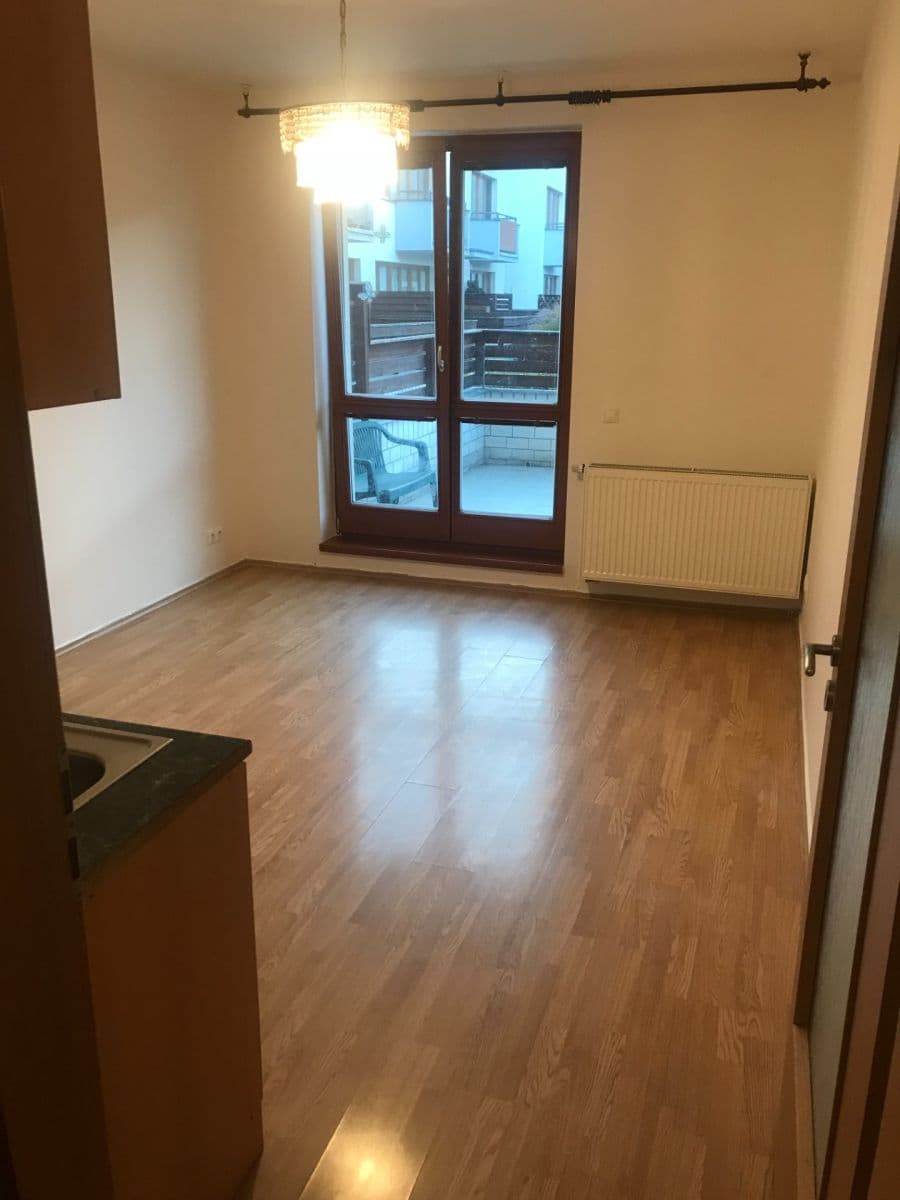 1 bedroom with open-plan kitchen flat to rent, 45 m², Václava Rady, Prague, Prague 1 bedroom with open-plan kitchen flat to rent, 45 m², Václava Rady, Prague, Prague