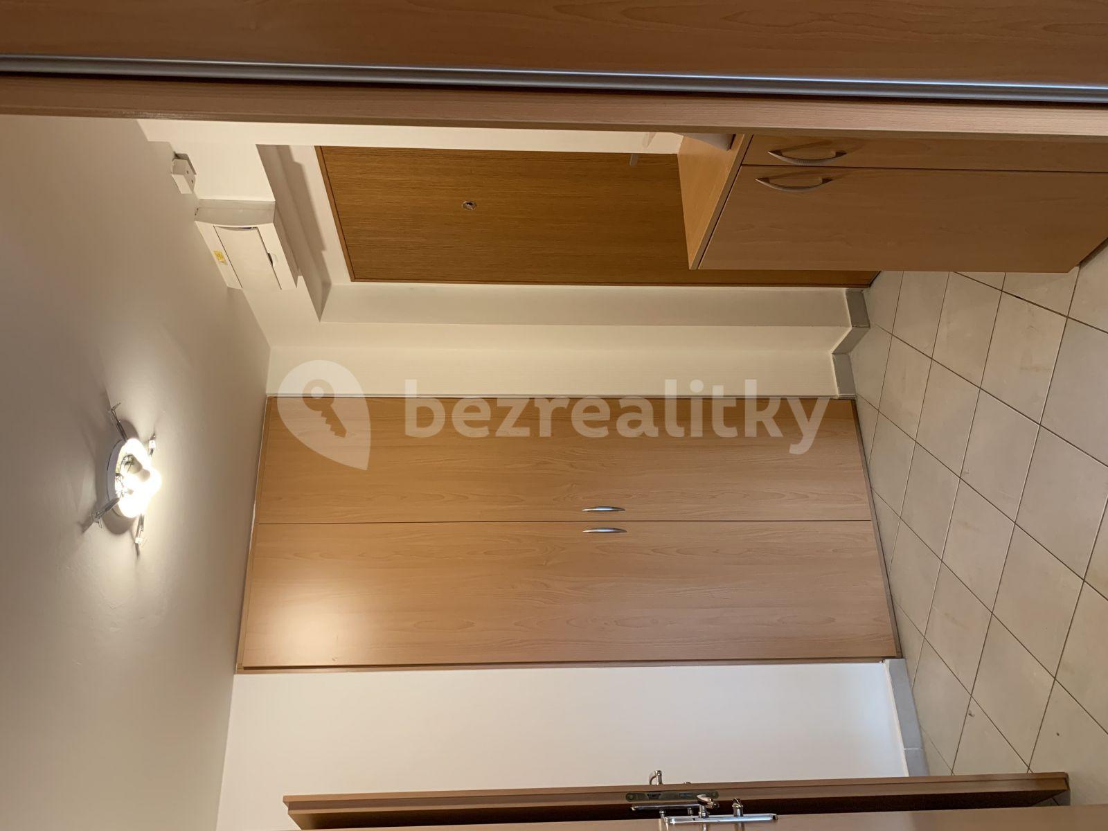 1 bedroom with open-plan kitchen flat to rent, 72 m², Petržílkova, Prague, Prague