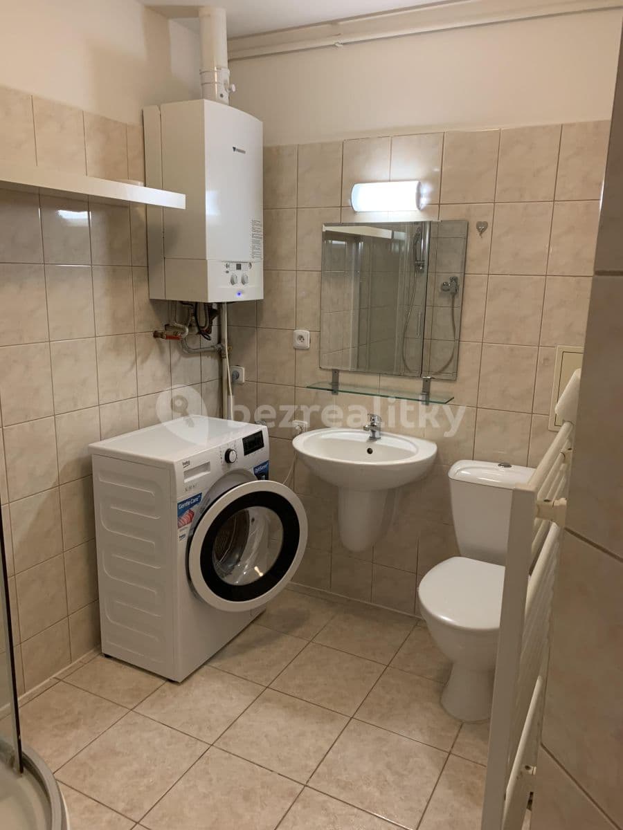 Small studio flat to rent, 35 m², U Havlíčkových sadů, Prague, Prague Small studio flat to rent, 35 m², U Havlíčkových sadů, Prague, Prague