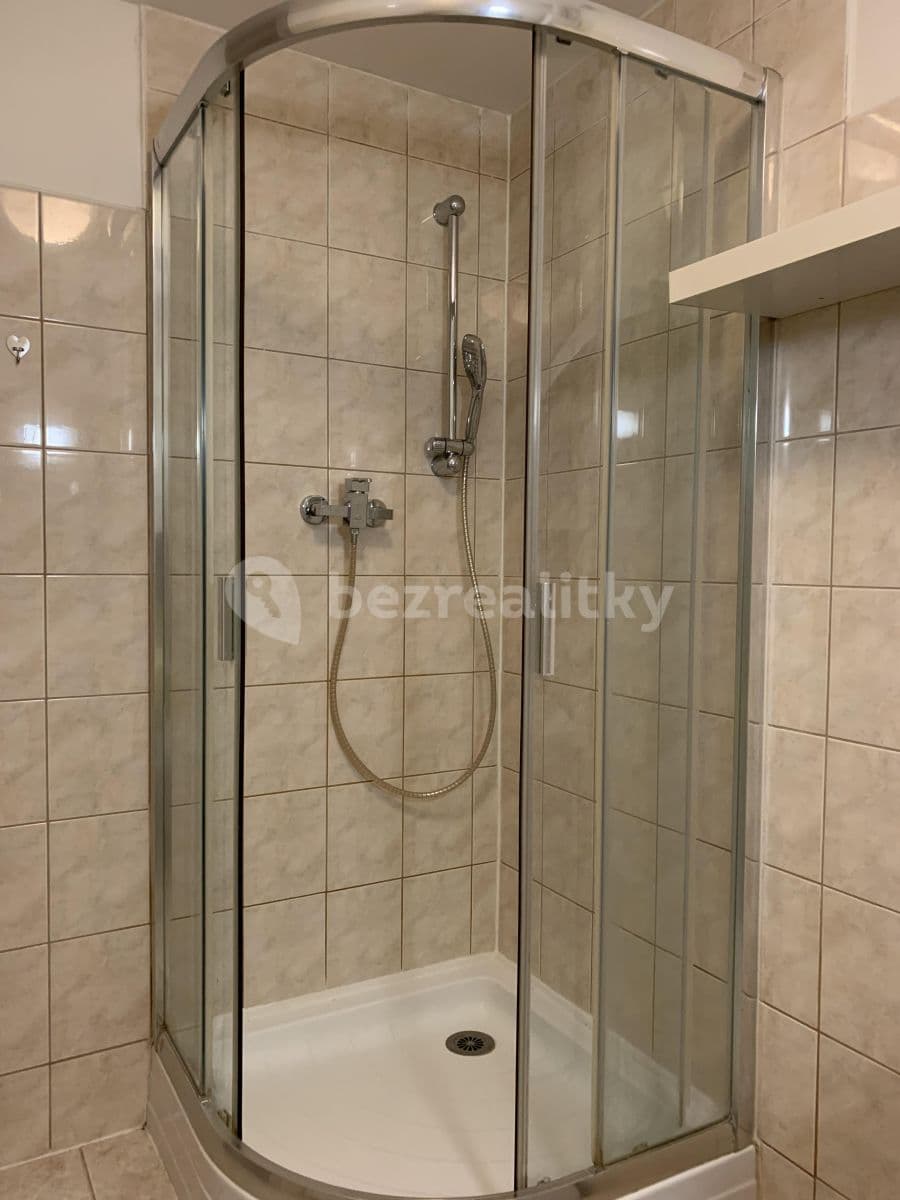 Small studio flat to rent, 35 m², U Havlíčkových sadů, Prague, Prague Small studio flat to rent, 35 m², U Havlíčkových sadů, Prague, Prague