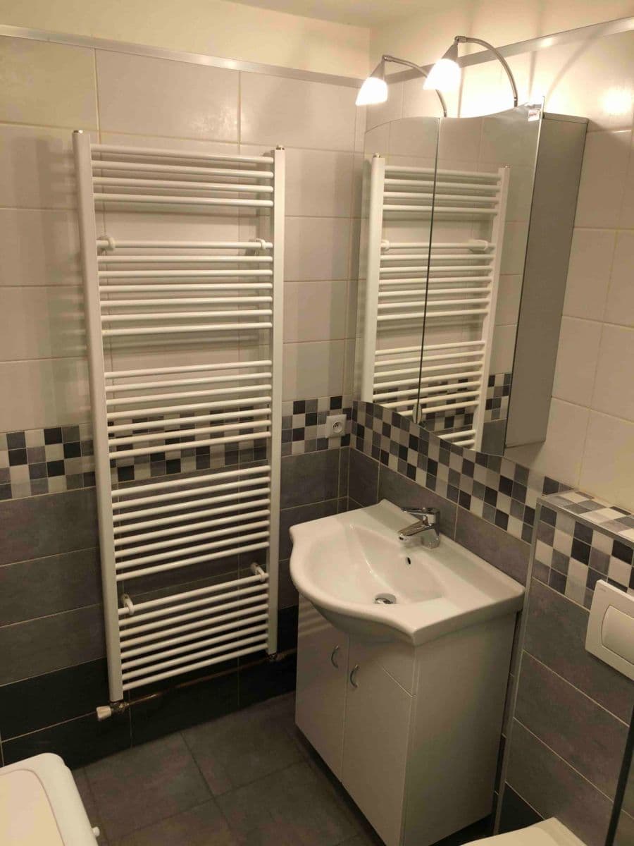 1 bedroom with open-plan kitchen flat to rent, 37 m², Vehlovická, Prague, Prague 1 bedroom with open-plan kitchen flat to rent, 37 m², Vehlovická, Prague, Prague