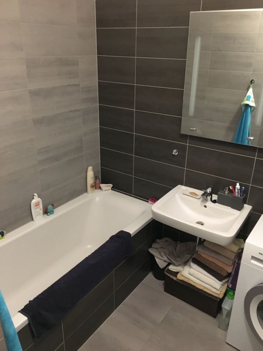 1 bedroom with open-plan kitchen flat to rent, 58 m², Novodvorská, Brno, Jihomoravský Region 1 bedroom with open-plan kitchen flat to rent, 58 m², Novodvorská, Brno, Jihomoravský Region