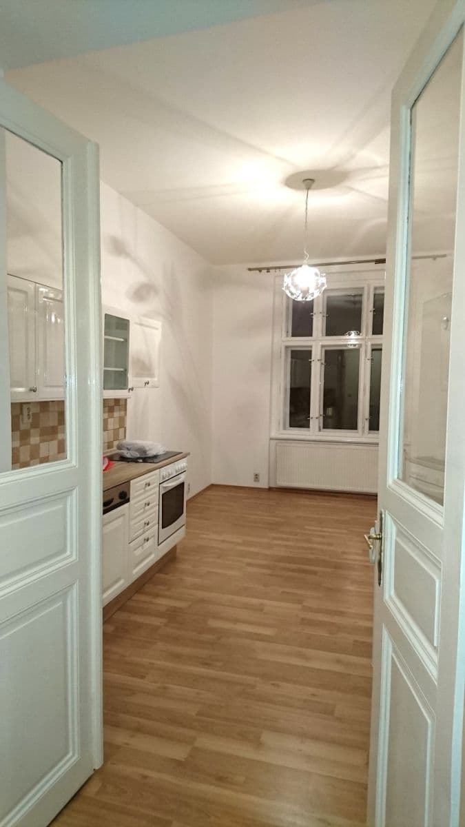 1 bedroom with open-plan kitchen flat to rent, 54 m², Táboritská, Prague, Prague 1 bedroom with open-plan kitchen flat to rent, 54 m², Táboritská, Prague, Prague