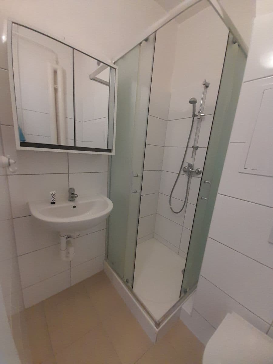 Studio flat to rent, 24 m², Halasovo náměstí, Brno, Jihomoravský Region Studio flat to rent, 24 m², Halasovo náměstí, Brno, Jihomoravský Region