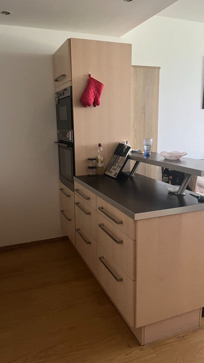 1 bedroom with open-plan kitchen flat to rent, 53 m², Kytlická, Prague, Prague 1 bedroom with open-plan kitchen flat to rent, 53 m², Kytlická, Prague, Prague