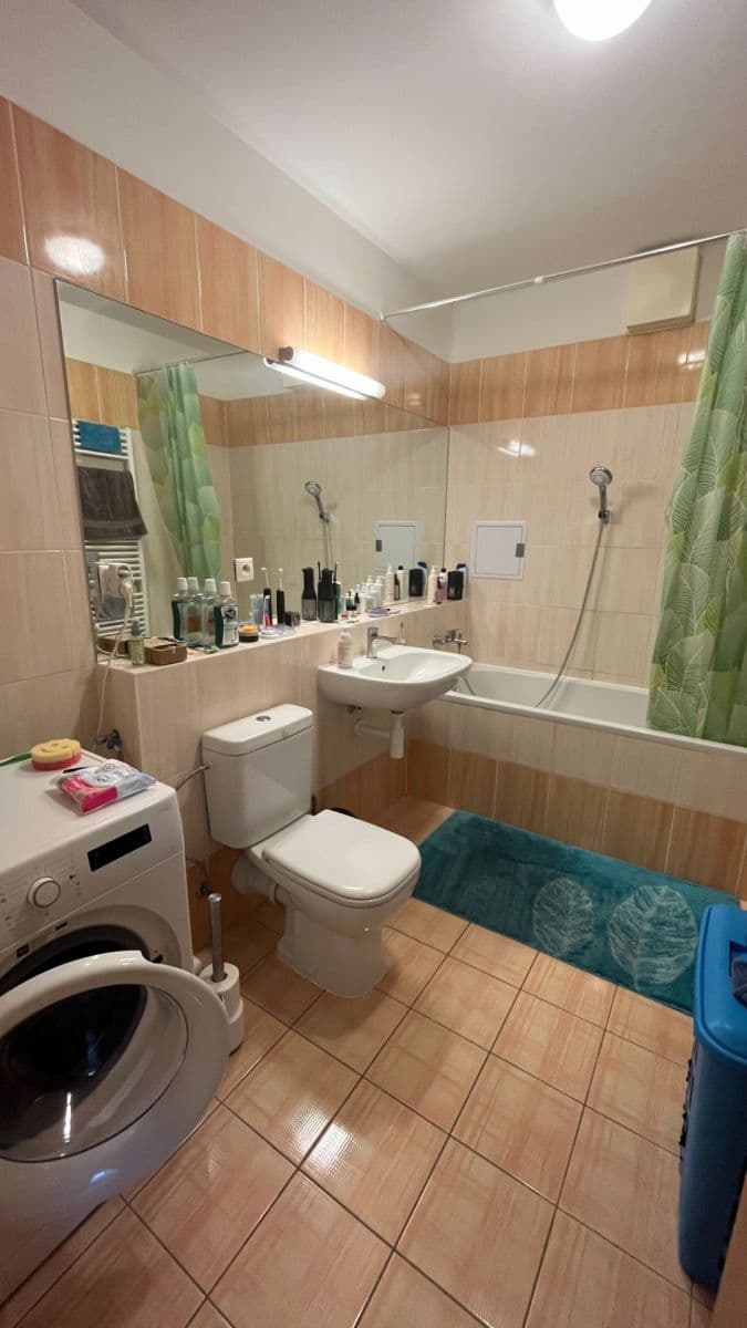 1 bedroom with open-plan kitchen flat to rent, 53 m², Kytlická, Prague, Prague 1 bedroom with open-plan kitchen flat to rent, 53 m², Kytlická, Prague, Prague