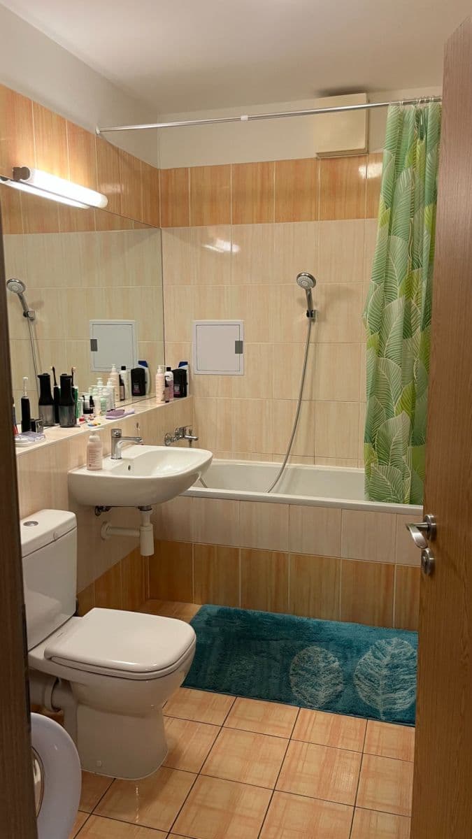 1 bedroom with open-plan kitchen flat to rent, 53 m², Kytlická, Prague, Prague 1 bedroom with open-plan kitchen flat to rent, 53 m², Kytlická, Prague, Prague