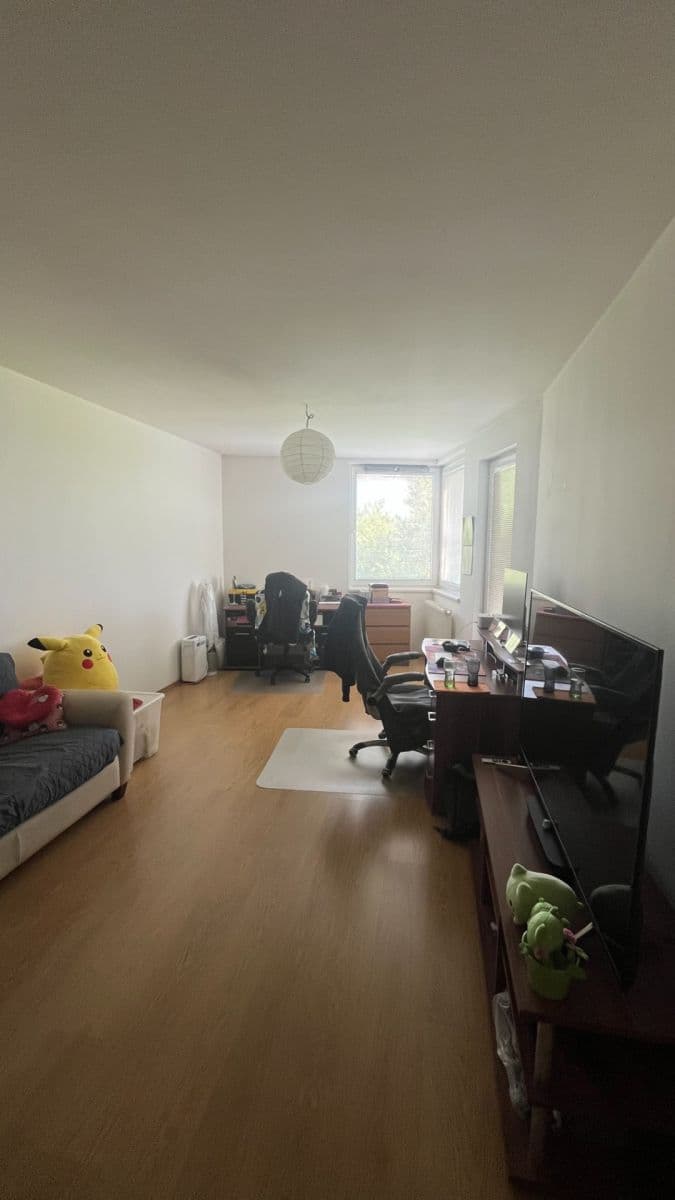 1 bedroom with open-plan kitchen flat to rent, 53 m², Kytlická, Prague, Prague 1 bedroom with open-plan kitchen flat to rent, 53 m², Kytlická, Prague, Prague