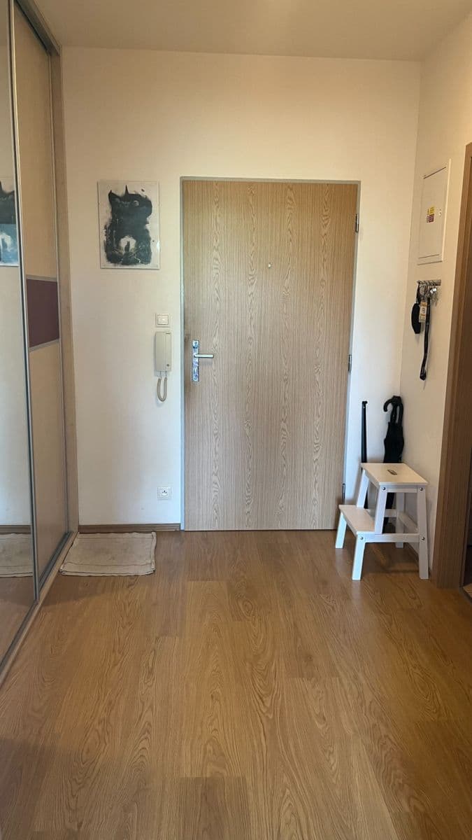 1 bedroom with open-plan kitchen flat to rent, 53 m², Kytlická, Prague, Prague 1 bedroom with open-plan kitchen flat to rent, 53 m², Kytlická, Prague, Prague
