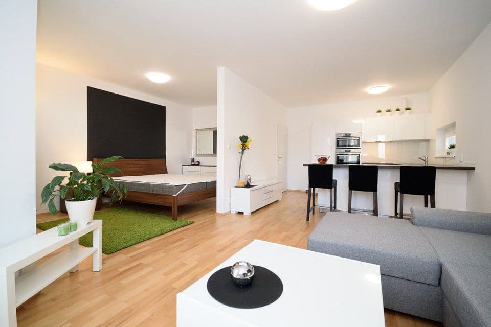 1 bedroom with open-plan kitchen flat to rent, 55 m², Makedonská, Prague, Prague 1 bedroom with open-plan kitchen flat to rent, 55 m², Makedonská, Prague, Prague