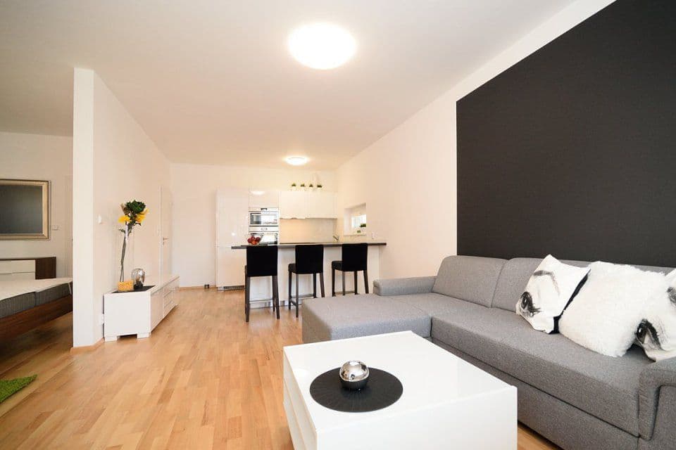 1 bedroom with open-plan kitchen flat to rent, 55 m², Makedonská, Prague, Prague 1 bedroom with open-plan kitchen flat to rent, 55 m², Makedonská, Prague, Prague