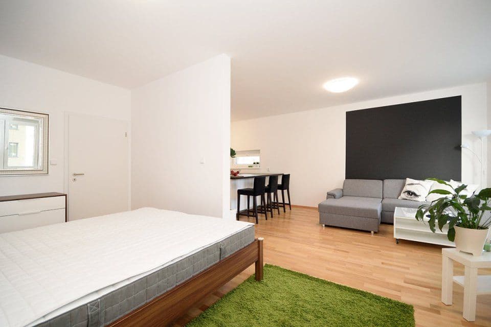 1 bedroom with open-plan kitchen flat to rent, 55 m², Makedonská, Prague, Prague 1 bedroom with open-plan kitchen flat to rent, 55 m², Makedonská, Prague, Prague