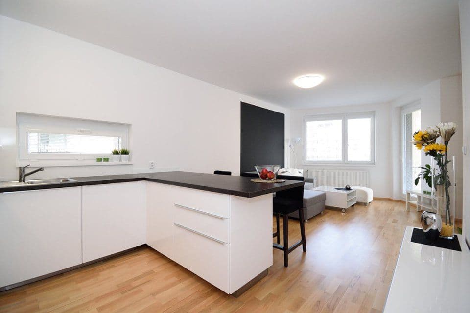 1 bedroom with open-plan kitchen flat to rent, 55 m², Makedonská, Prague, Prague 1 bedroom with open-plan kitchen flat to rent, 55 m², Makedonská, Prague, Prague
