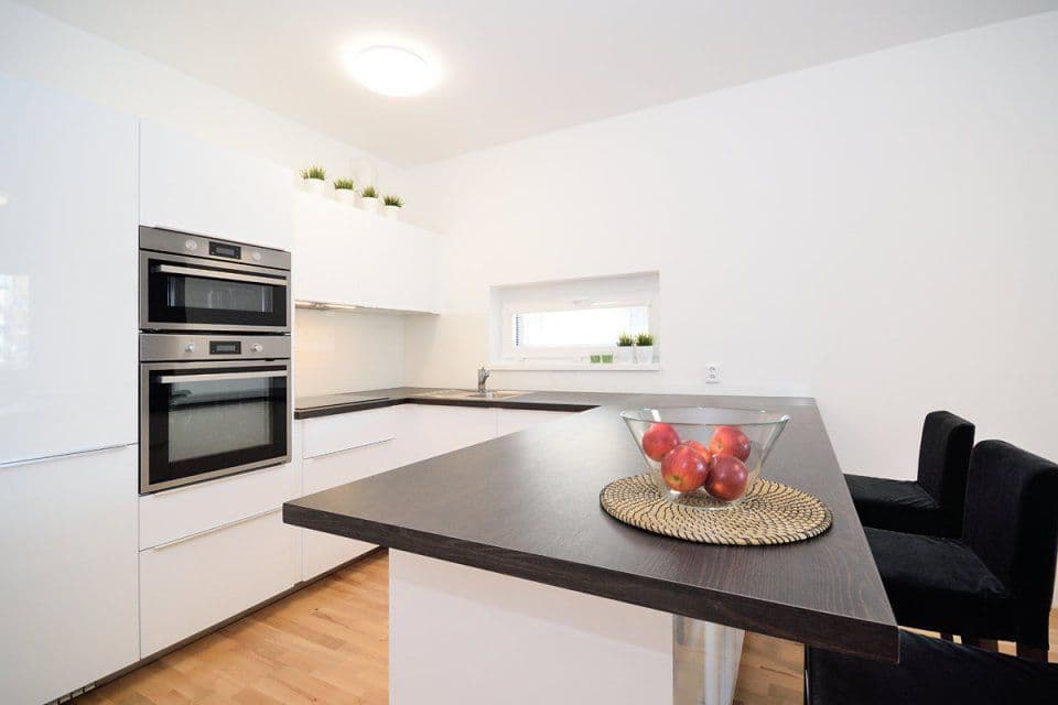 1 bedroom with open-plan kitchen flat to rent, 55 m², Makedonská, Prague, Prague 1 bedroom with open-plan kitchen flat to rent, 55 m², Makedonská, Prague, Prague