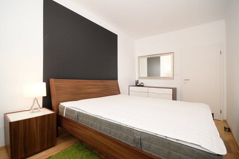 1 bedroom with open-plan kitchen flat to rent, 55 m², Makedonská, Prague, Prague 1 bedroom with open-plan kitchen flat to rent, 55 m², Makedonská, Prague, Prague