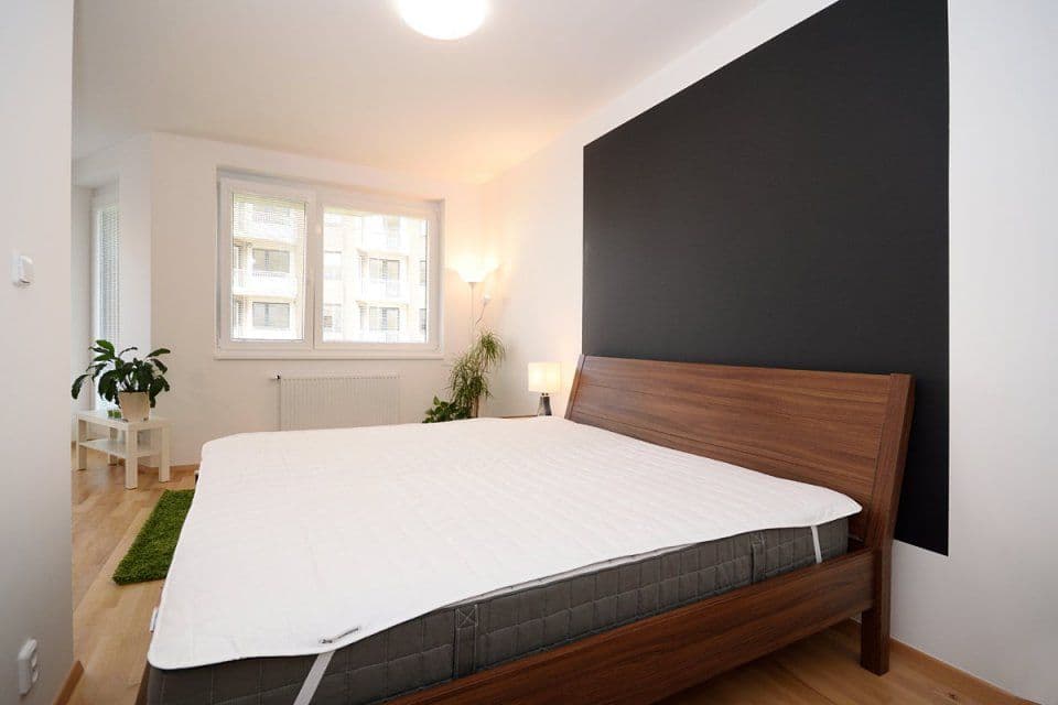 1 bedroom with open-plan kitchen flat to rent, 55 m², Makedonská, Prague, Prague 1 bedroom with open-plan kitchen flat to rent, 55 m², Makedonská, Prague, Prague