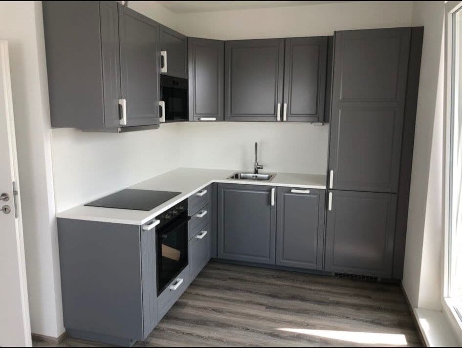 1 bedroom with open-plan kitchen flat to rent, 58 m², Hlučkova, Prague, Prague 1 bedroom with open-plan kitchen flat to rent, 58 m², Hlučkova, Prague, Prague