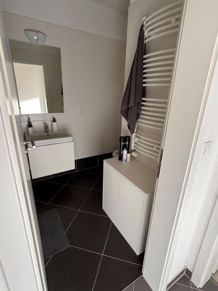 1 bedroom with open-plan kitchen flat to rent, 58 m², Hlučkova, Prague, Prague 1 bedroom with open-plan kitchen flat to rent, 58 m², Hlučkova, Prague, Prague