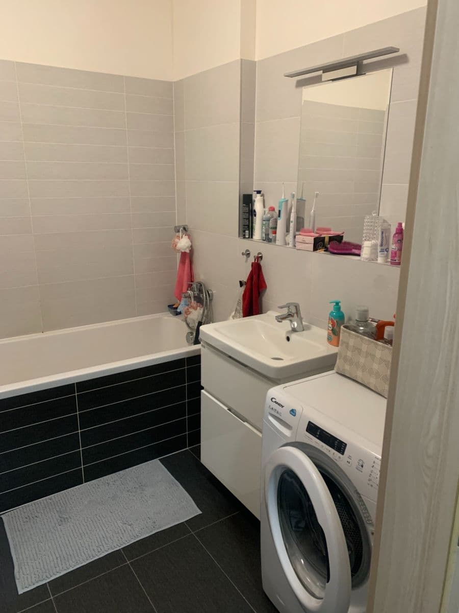 1 bedroom with open-plan kitchen flat to rent, 58 m², Pod Stolovou Horou, Prague, Prague 1 bedroom with open-plan kitchen flat to rent, 58 m², Pod Stolovou Horou, Prague, Prague