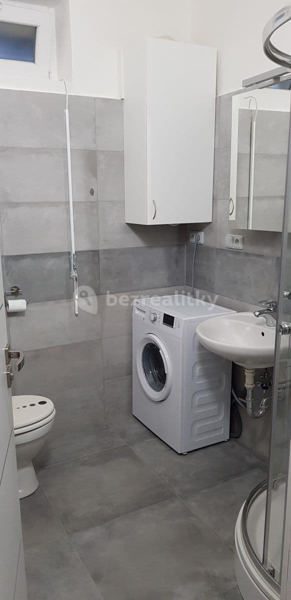 1 bedroom with open-plan kitchen flat to rent, 46 m², Uzavřená, Prague, Prague 1 bedroom with open-plan kitchen flat to rent, 46 m², Uzavřená, Prague, Prague