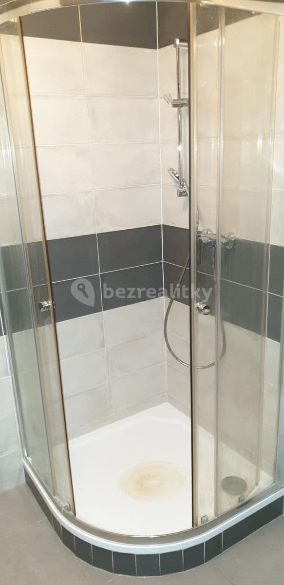 1 bedroom with open-plan kitchen flat to rent, 52 m², Pod radnicí, Prague, Prague 1 bedroom with open-plan kitchen flat to rent, 52 m², Pod radnicí, Prague, Prague