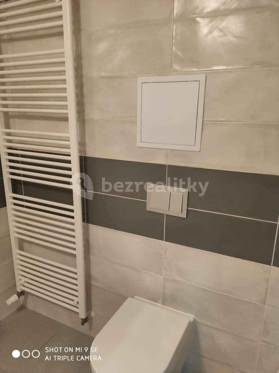 1 bedroom with open-plan kitchen flat to rent, 52 m², Pod radnicí, Prague, Prague 1 bedroom with open-plan kitchen flat to rent, 52 m², Pod radnicí, Prague, Prague