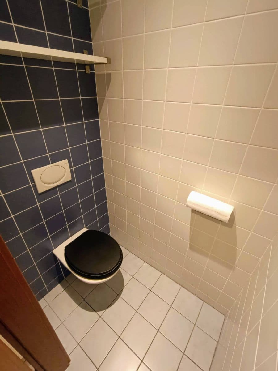 2 bedroom with open-plan kitchen flat to rent, 90 m², Klapkova, Prague, Prague 2 bedroom with open-plan kitchen flat to rent, 90 m², Klapkova, Prague, Prague