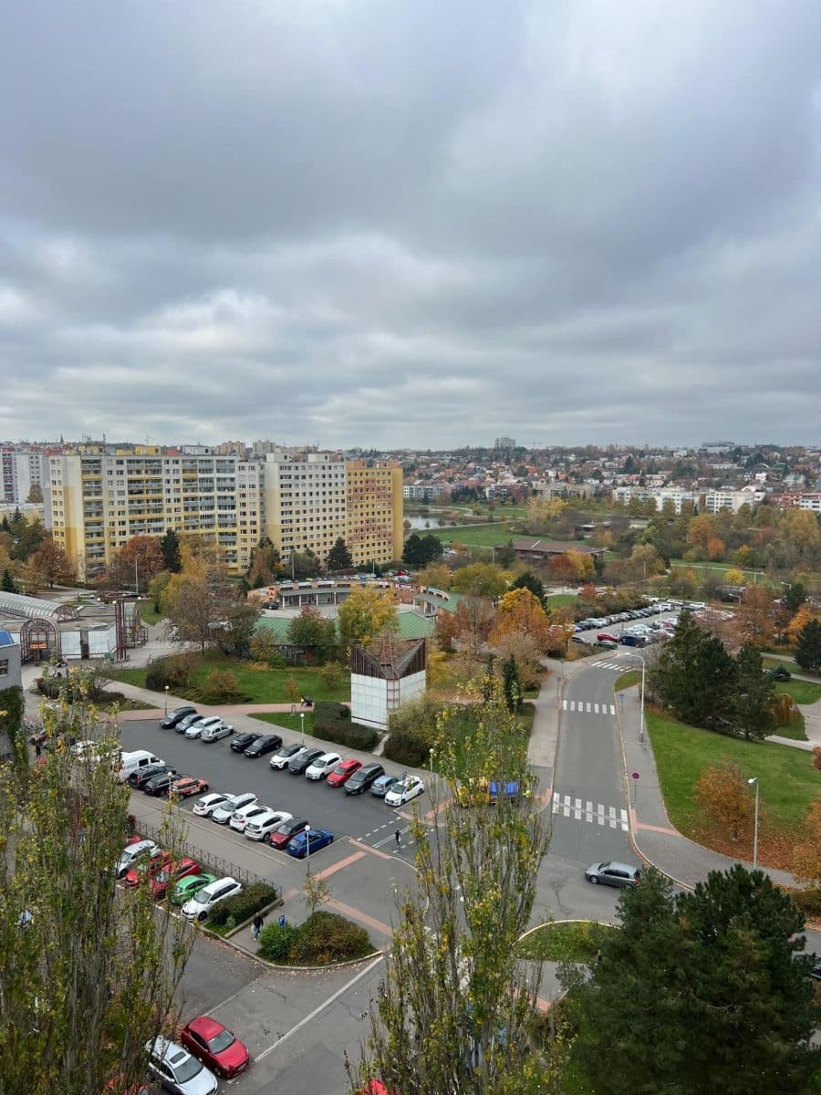 2 bedroom with open-plan kitchen flat to rent, 80 m², Píškova, Prague, Prague 2 bedroom with open-plan kitchen flat to rent, 80 m², Píškova, Prague, Prague