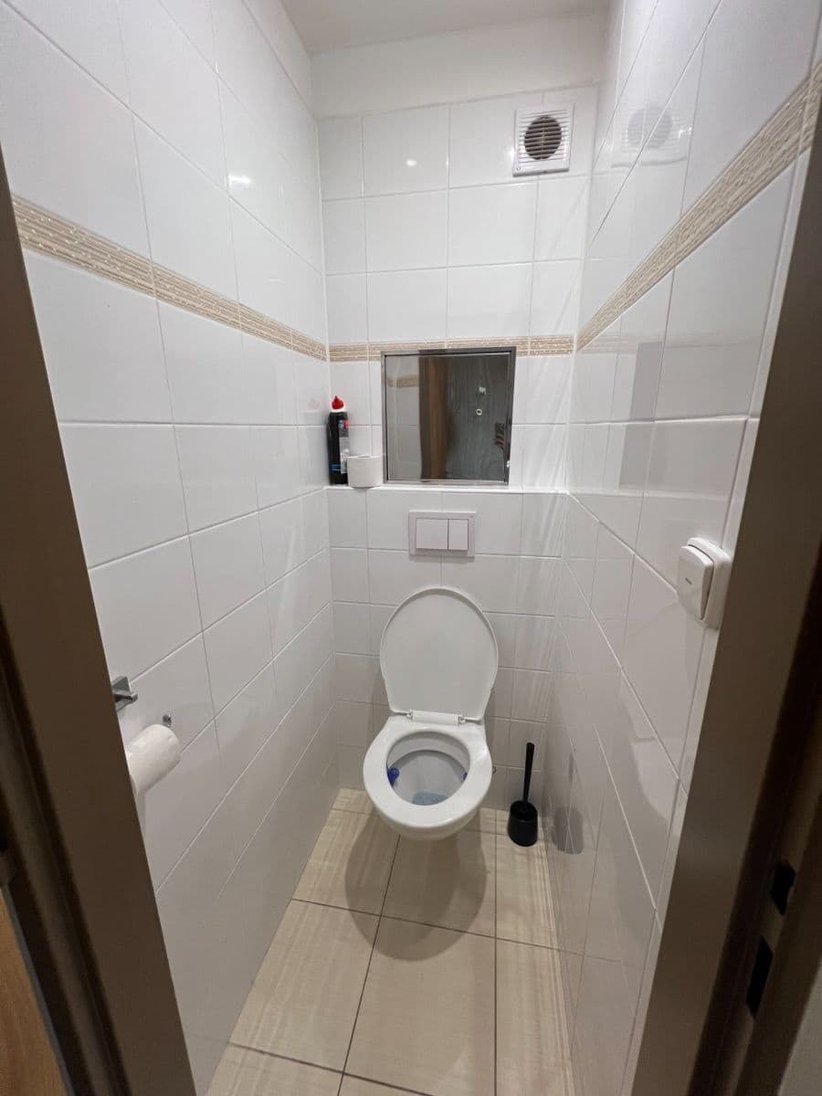 1 bedroom with open-plan kitchen flat to rent, 44 m², K Rovinám, Prague, Prague 1 bedroom with open-plan kitchen flat to rent, 44 m², K Rovinám, Prague, Prague