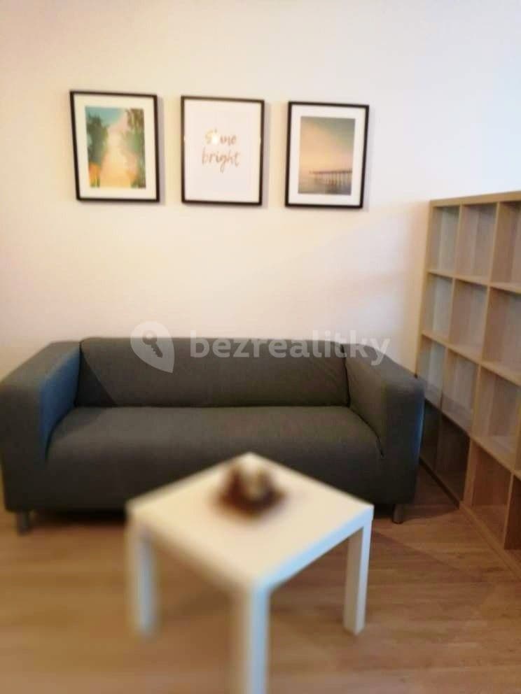 Studio flat to rent, 40 m², Řípská, Brno, Jihomoravský Region