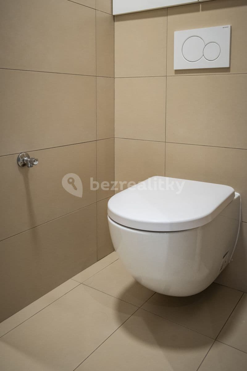 1 bedroom with open-plan kitchen flat to rent, 38 m², Na Strži, Prague, Prague 1 bedroom with open-plan kitchen flat to rent, 38 m², Na Strži, Prague, Prague