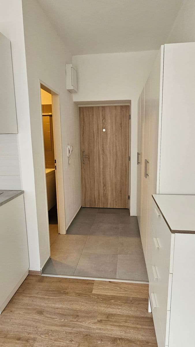 flat to rent, 24 m², Šárka, Brno, Jihomoravský Region flat to rent, 24 m², Šárka, Brno, Jihomoravský Region