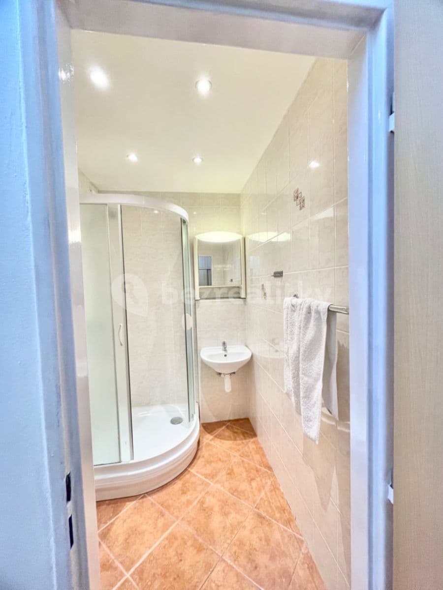 1 bedroom with open-plan kitchen flat to rent, 43 m², Ohradní, Prague, Prague 1 bedroom with open-plan kitchen flat to rent, 43 m², Ohradní, Prague, Prague