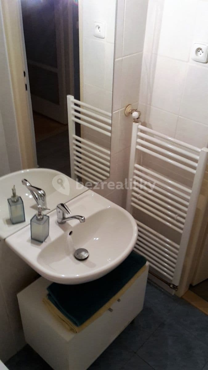 1 bedroom with open-plan kitchen flat to rent, 47 m², Mládeže, Prague, Prague 1 bedroom with open-plan kitchen flat to rent, 47 m², Mládeže, Prague, Prague