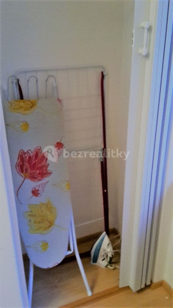 1 bedroom with open-plan kitchen flat to rent, 47 m², Mládeže, Prague, Prague 1 bedroom with open-plan kitchen flat to rent, 47 m², Mládeže, Prague, Prague