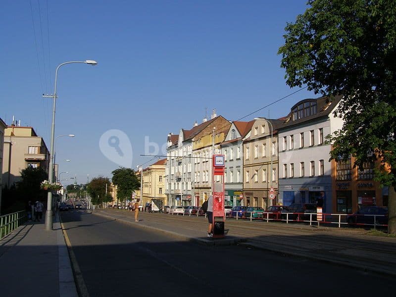 1 bedroom with open-plan kitchen flat to rent, 47 m², Mládeže, Prague, Prague 1 bedroom with open-plan kitchen flat to rent, 47 m², Mládeže, Prague, Prague