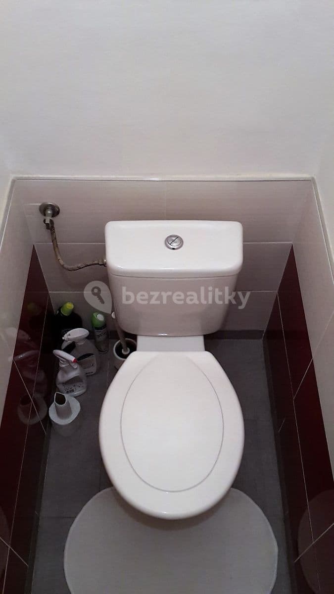 1 bedroom with open-plan kitchen flat to rent, 47 m², Mládeže, Prague, Prague 1 bedroom with open-plan kitchen flat to rent, 47 m², Mládeže, Prague, Prague