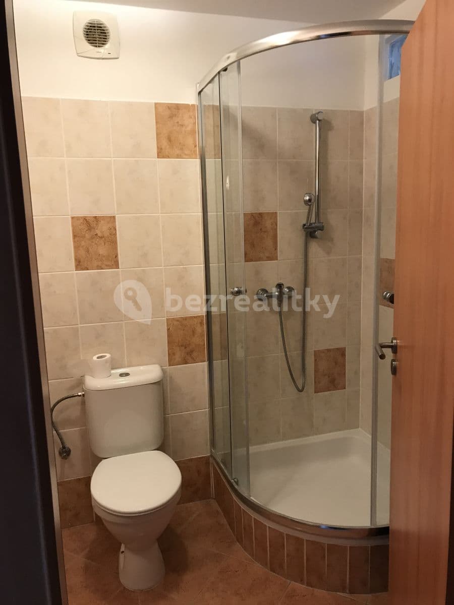 1 bedroom with open-plan kitchen flat to rent, 42 m², Říčanská, Brno, Jihomoravský Region 1 bedroom with open-plan kitchen flat to rent, 42 m², Říčanská, Brno, Jihomoravský Region