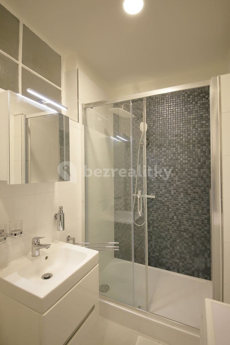 Studio flat to rent, 25 m², Nikolaje Alexejeviče Někrasova, Prague, Prague Studio flat to rent, 25 m², Nikolaje Alexejeviče Někrasova, Prague, Prague