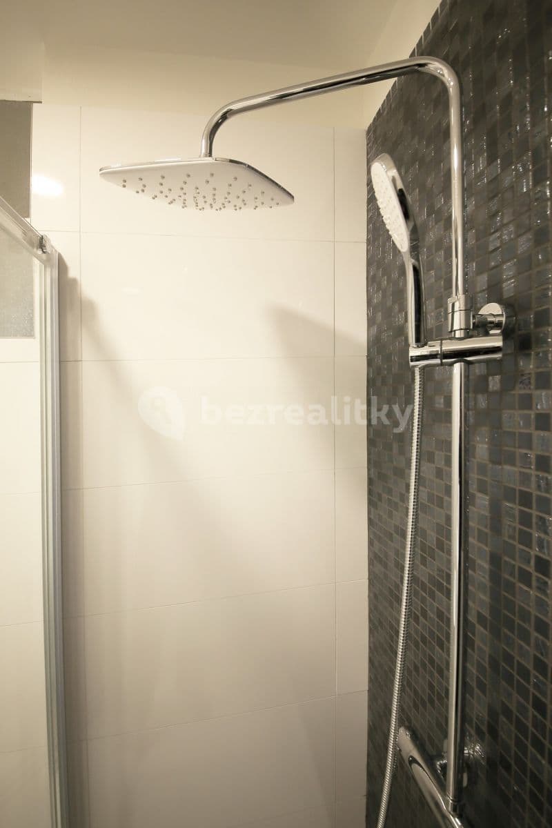 Studio flat to rent, 25 m², Nikolaje Alexejeviče Někrasova, Prague, Prague Studio flat to rent, 25 m², Nikolaje Alexejeviče Někrasova, Prague, Prague