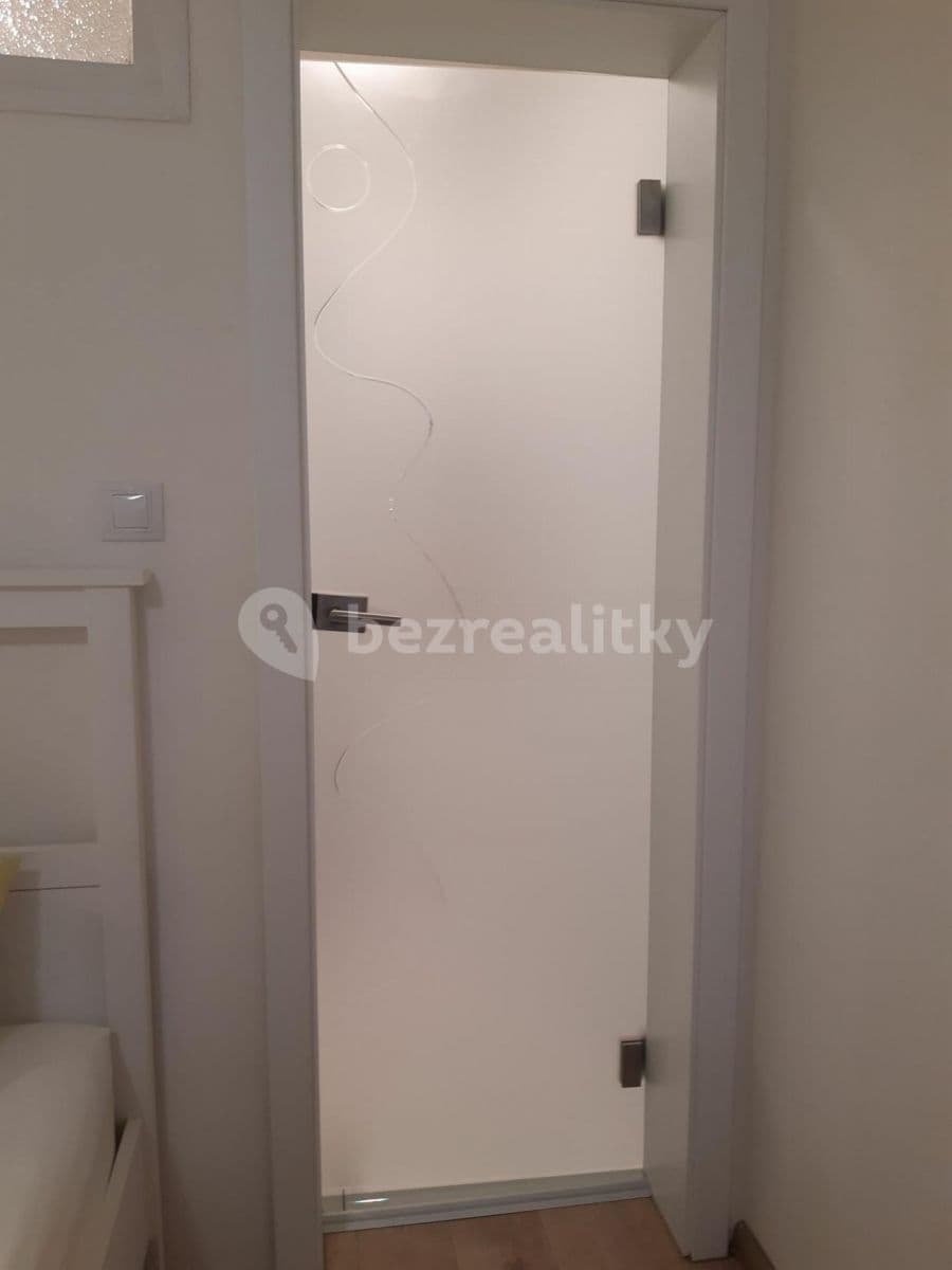 Studio flat to rent, 25 m², Nikolaje Alexejeviče Někrasova, Prague, Prague Studio flat to rent, 25 m², Nikolaje Alexejeviče Někrasova, Prague, Prague