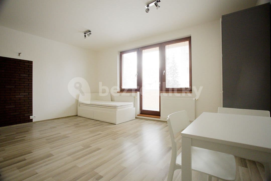 Studio flat to rent, 35 m², Štúrova, Prague, Prague Studio flat to rent, 35 m², Štúrova, Prague, Prague