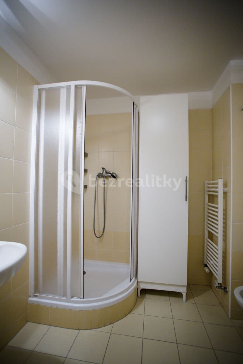 Studio flat to rent, 35 m², Štúrova, Prague, Prague Studio flat to rent, 35 m², Štúrova, Prague, Prague