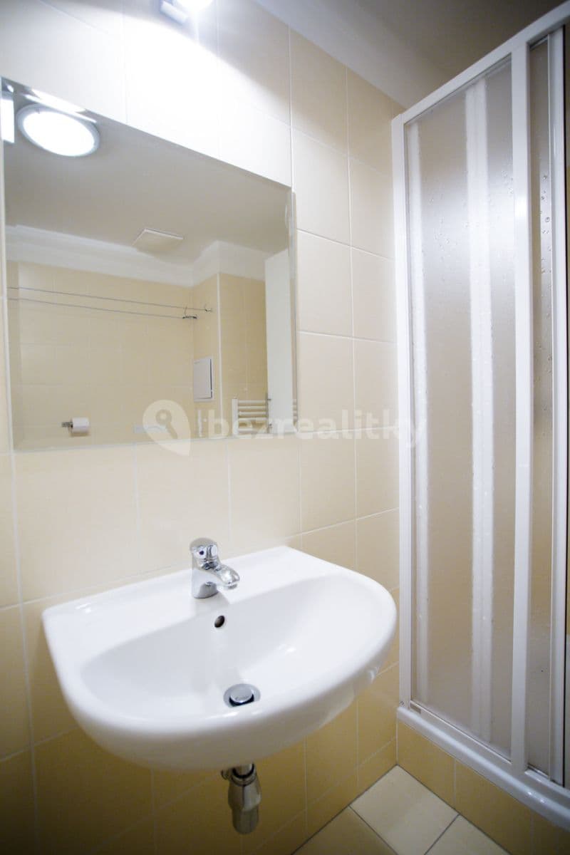 Studio flat to rent, 35 m², Štúrova, Prague, Prague Studio flat to rent, 35 m², Štúrova, Prague, Prague