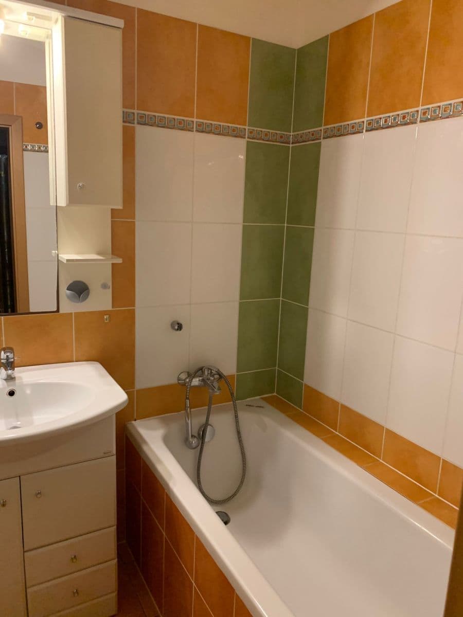 1 bedroom with open-plan kitchen flat to rent, 62 m², Nad Okrouhlíkem, Prague, Prague 1 bedroom with open-plan kitchen flat to rent, 62 m², Nad Okrouhlíkem, Prague, Prague