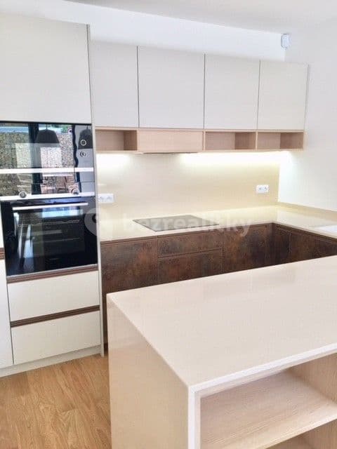 1 bedroom with open-plan kitchen flat for sale, 83 m², Nad Ostrovem, Prague, Prague 1 bedroom with open-plan kitchen flat for sale, 83 m², Nad Ostrovem, Prague, Prague