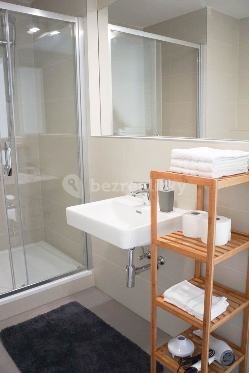 1 bedroom with open-plan kitchen flat to rent, 60 m², Pod Kavalírkou, Prague, Prague 1 bedroom with open-plan kitchen flat to rent, 60 m², Pod Kavalírkou, Prague, Prague