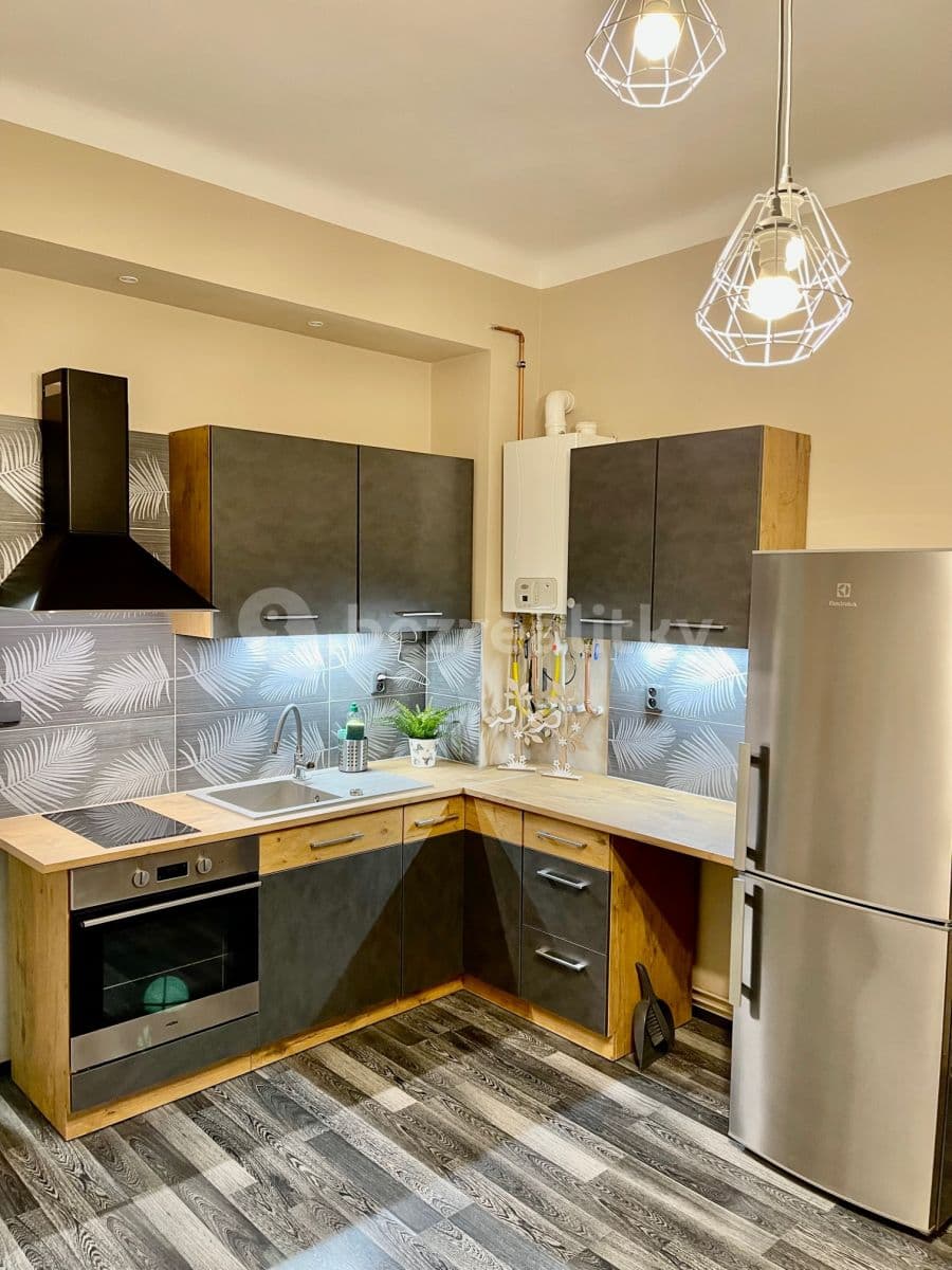 1 bedroom with open-plan kitchen flat to rent, 49 m², Sudoměřská, Prague, Prague 1 bedroom with open-plan kitchen flat to rent, 49 m², Sudoměřská, Prague, Prague